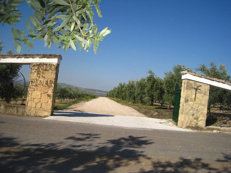 Entrada al cortijo