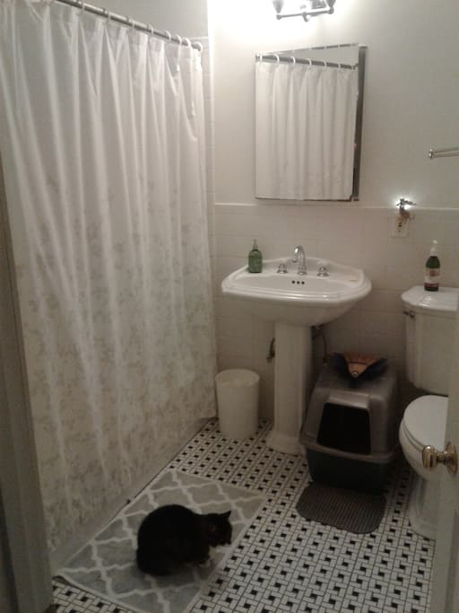 Shared bathroom and "Molly"