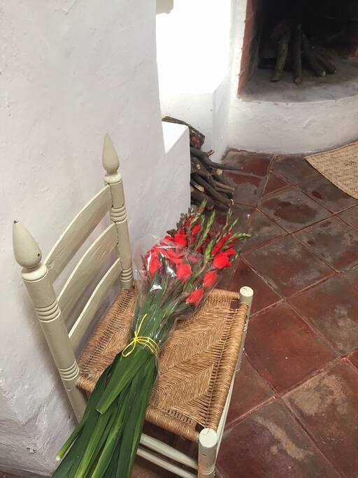 Fresh Gladiolas