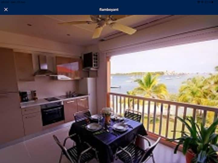 Baie Nettlé locations de vacances et logements Collectivité de