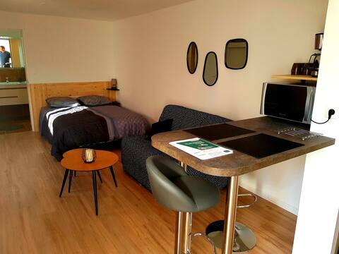 Nice independent studio with terrace
