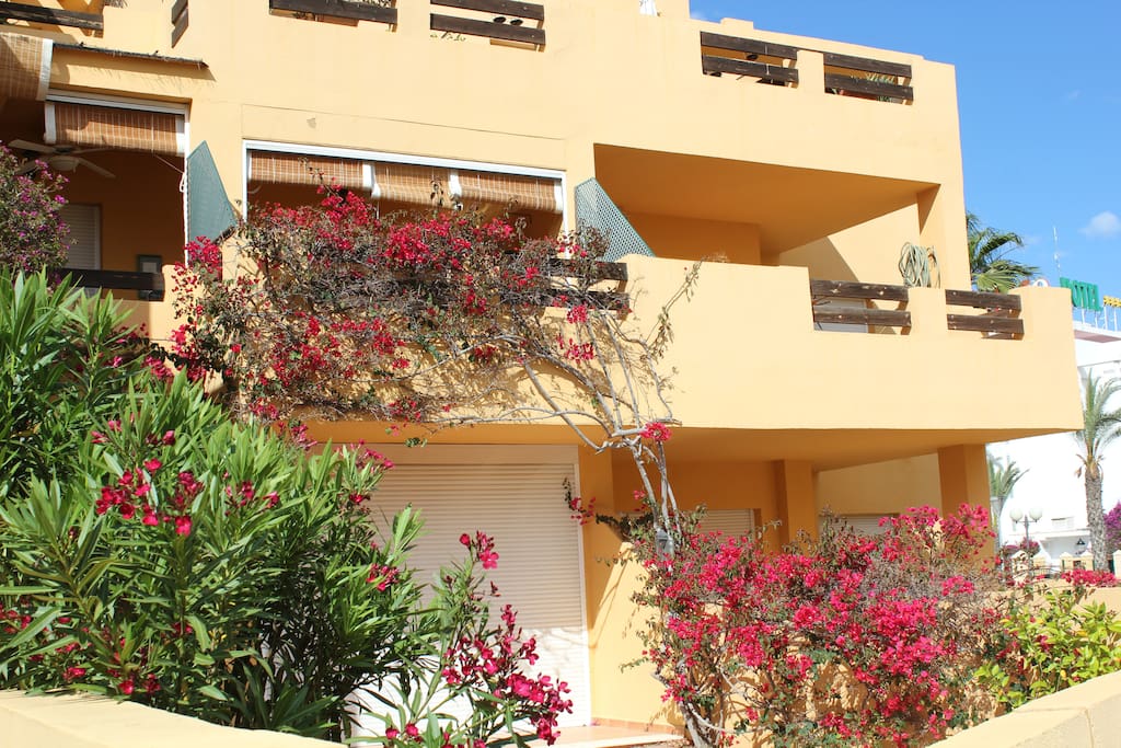 Our quiet, first floor apartment is on the end of the block