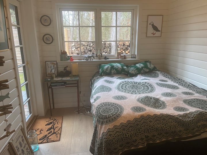 نقار الخشب المكدس مليء بالاكتشافات الجميلة