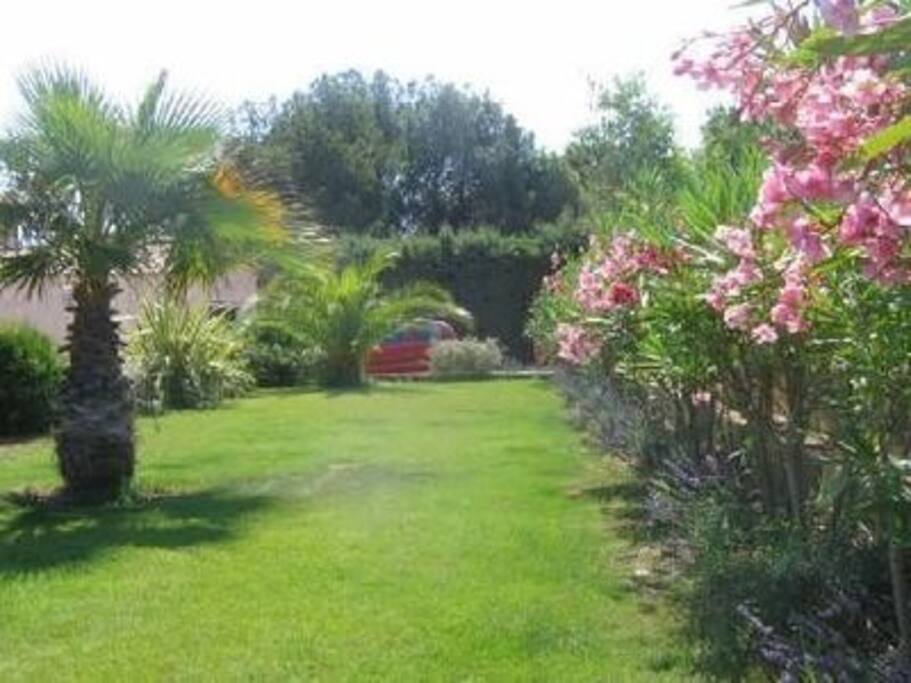 Front Garden