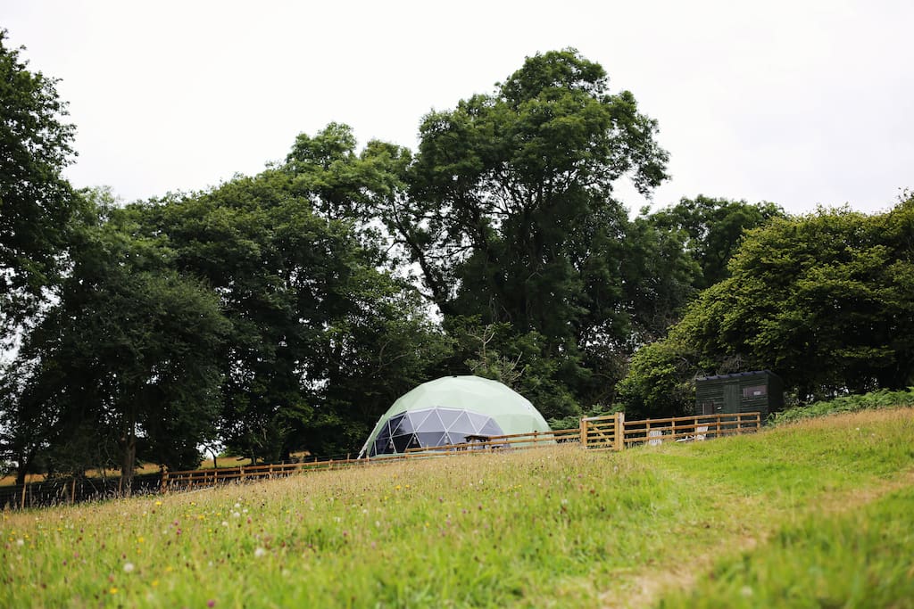 The geodome nestled at the top of the field