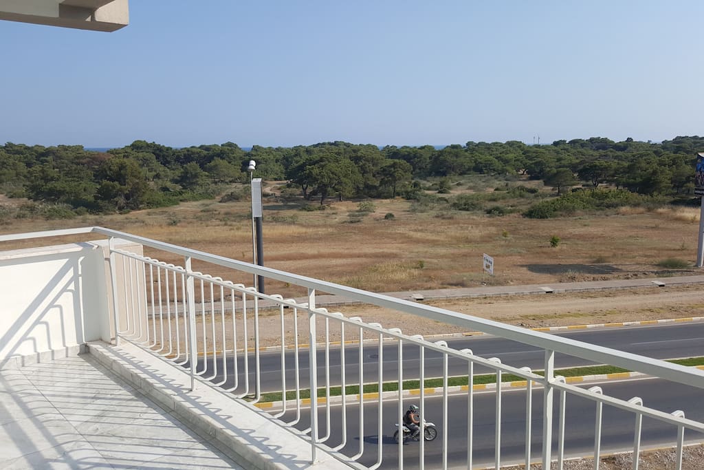 Brilliant view to the Pine Forrest and a bit of the sea