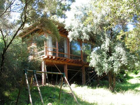 Wooden house on river near Ajaccio