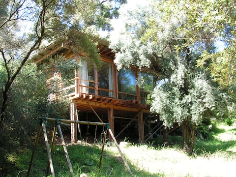Wooden house on river near Ajaccio