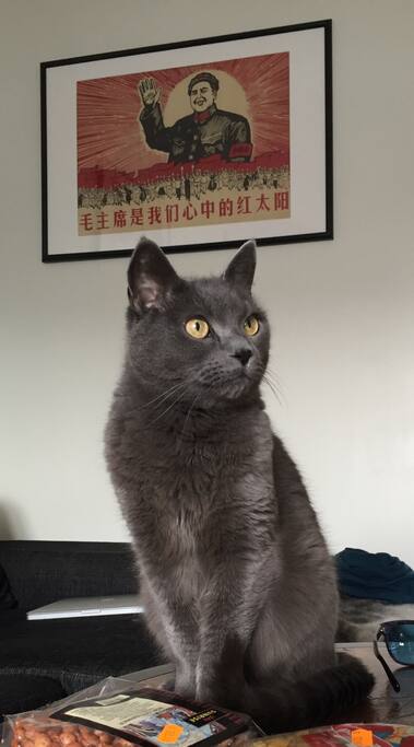 Nicolas
