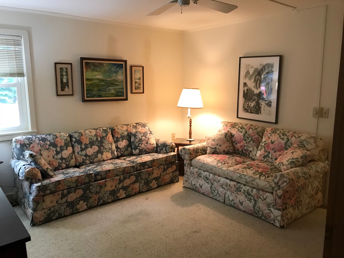 Downstairs den with sleeper sofa; can be a guest suite with private bath.