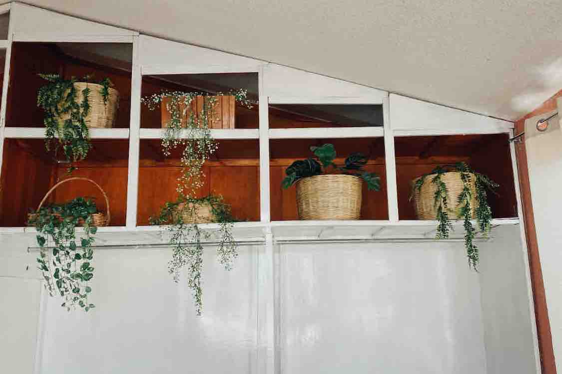 Shelves situated above a white wardrobe are adorned with various basket planters, each filled with greenery. The arrangement features both hanging and upright plants, contributing to a natural, inviting feel within the space.