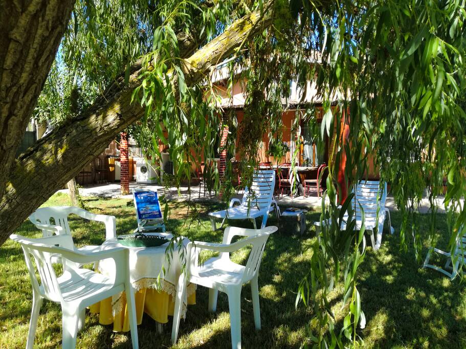 Giardino con Salice Piangente