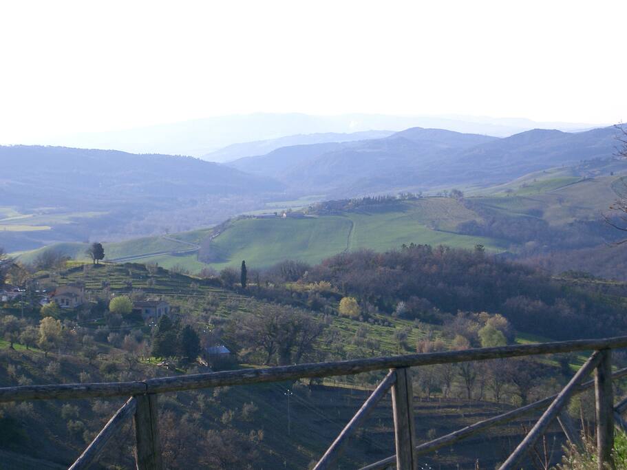 the view from the garden