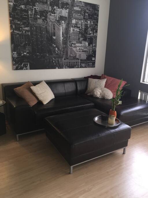 Modern living room with abundant seating (my pup likes to be in the pics).