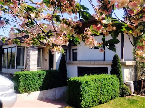 Juliet Guesthouse
