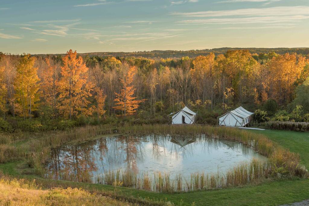 Tents by the pond