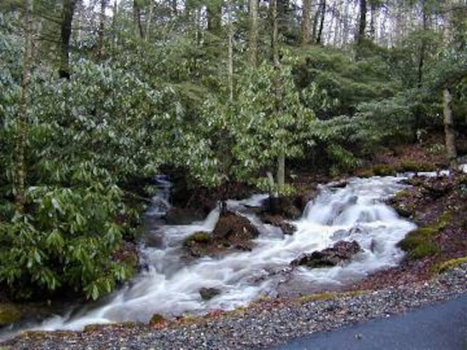 Cross the Johnson Branch Creek and arrive at the cabin.