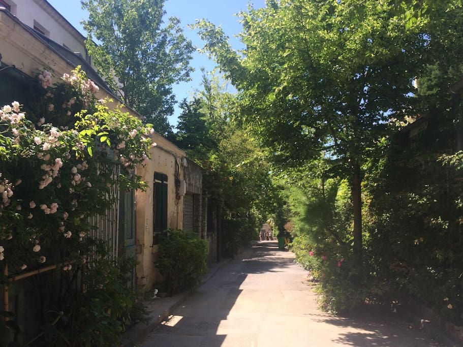 La ruelle au printemps / Our alley in springtime
