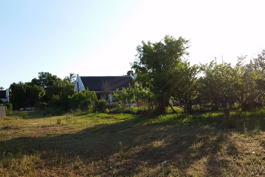 Our cottage is set amongst 20 apricot trees, providing lovely shade in summer