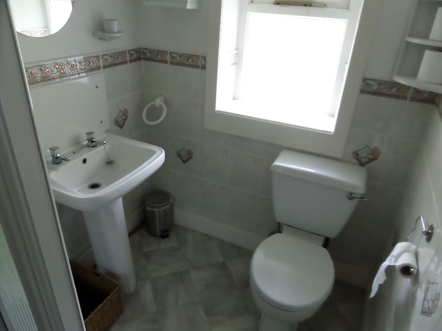 Bathroom with shower, basin and toilet