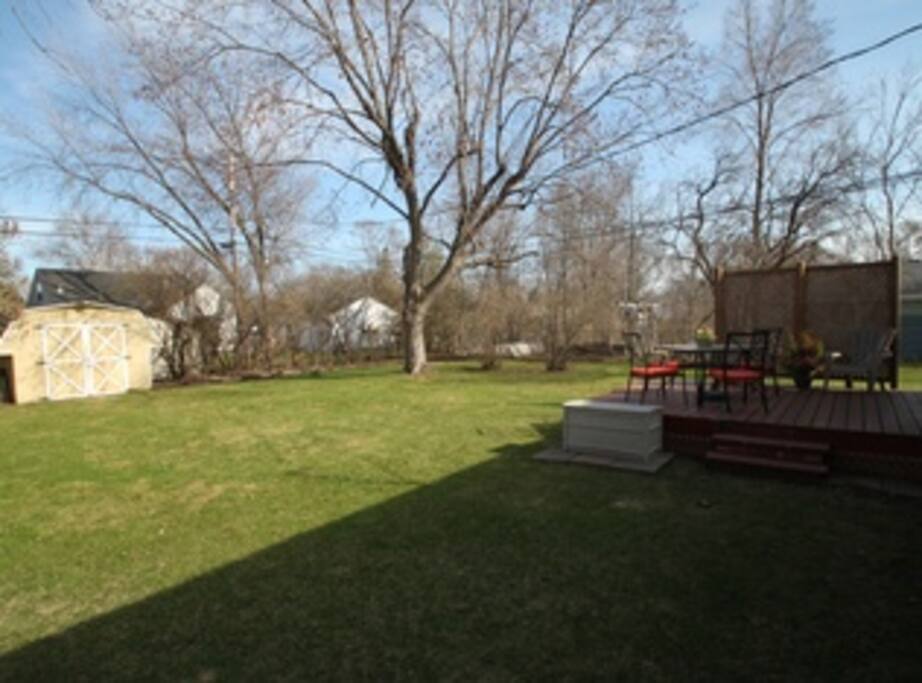 Large Backyard