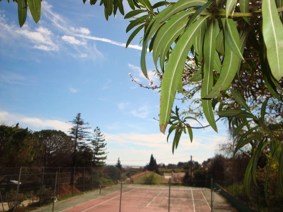 Tennis