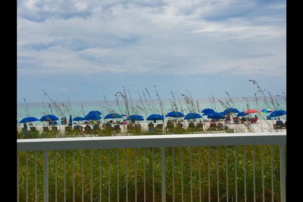 Beach view from Edgewater's main pool area