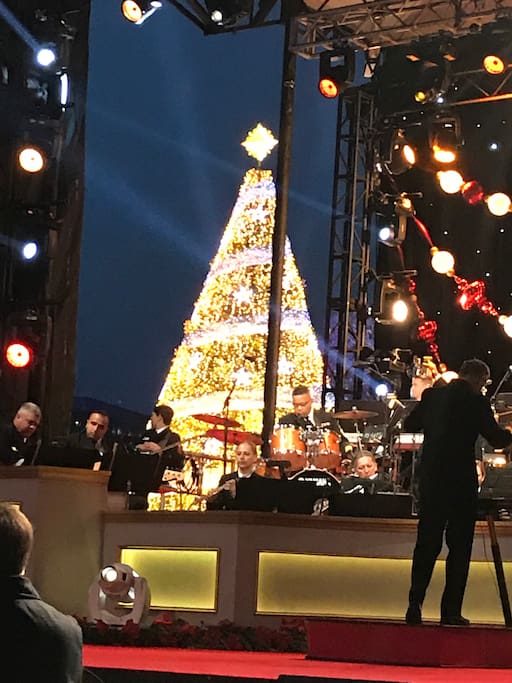 Things are happening here all year -- like the lighting of the National Christmas Tree!