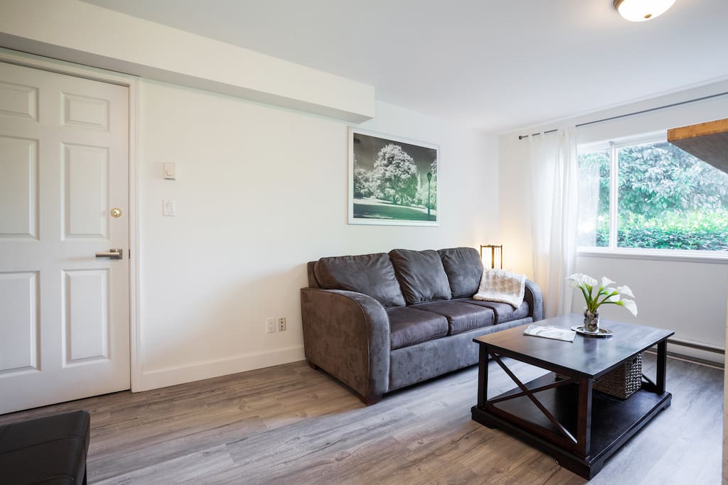 Living room with pullout sofa bed