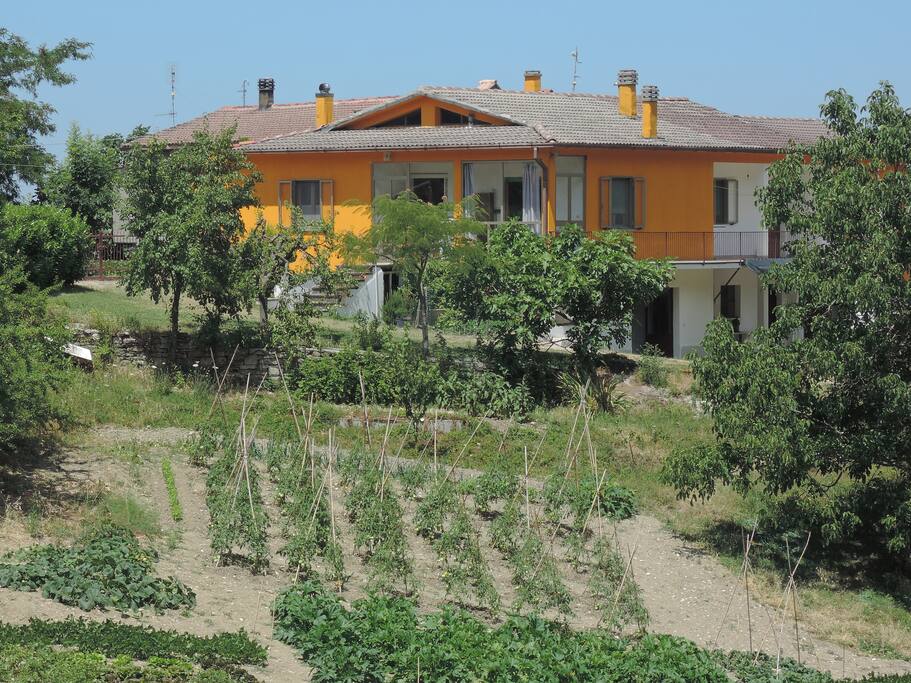 VISTA DALLA STRADA
