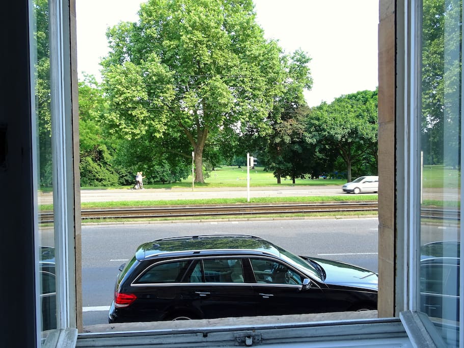 View to Luisenpark