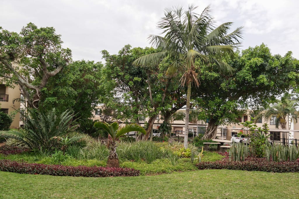 The lush gardens of the Shades in front of the apartment.