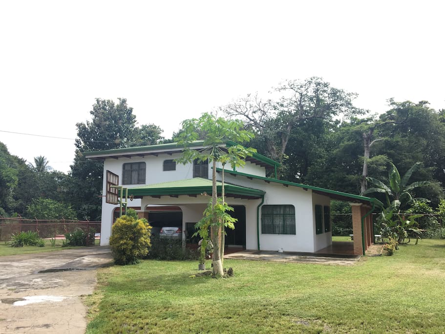 Front View