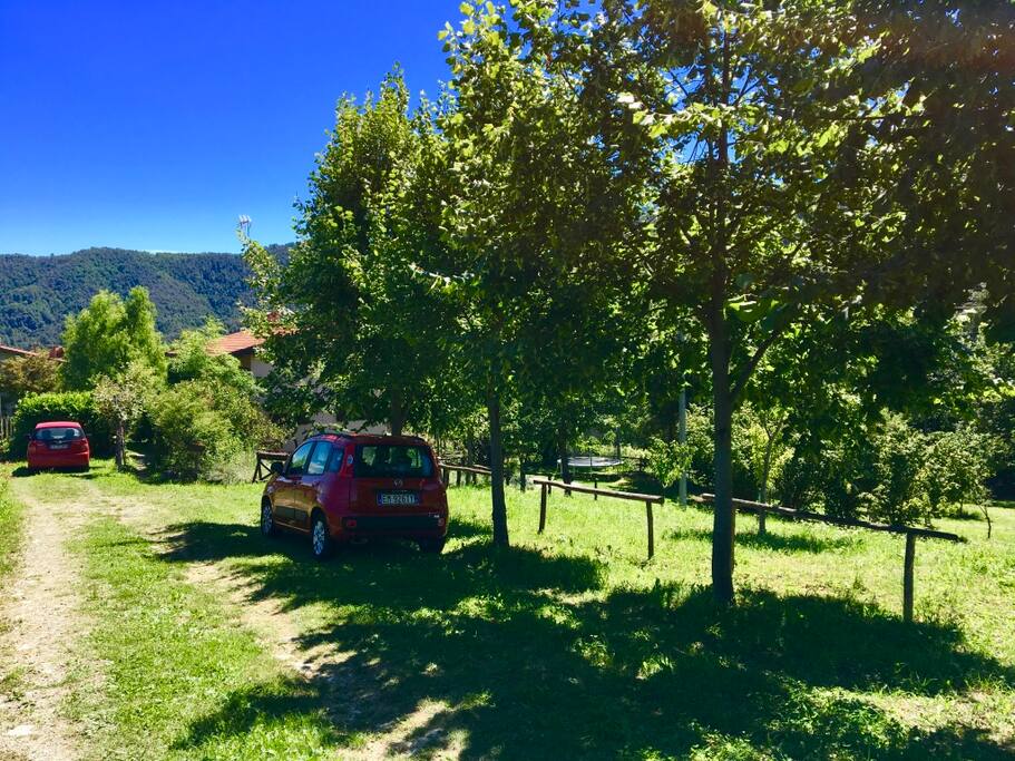 Si entra e si parcheggia sotto i tigli (e si intravede il tetto della Casa delle Rondini).