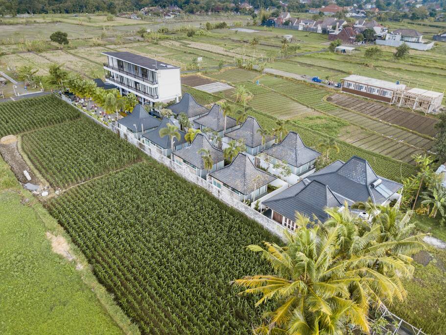 Welcome to our little paradise, surrounded by one of the best greenery nature scene in Jogja