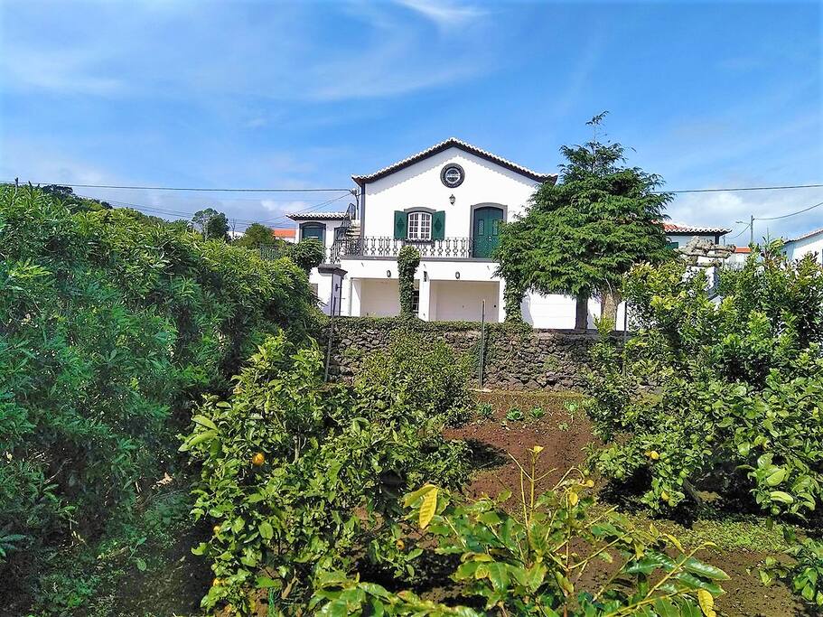 Casa da Vinha