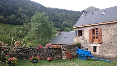Mountain Gîte, charm and authenticity Pyrenees