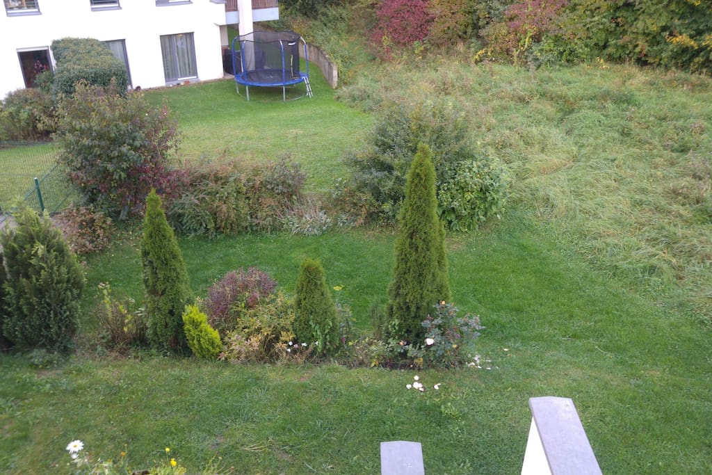 View from room to the garden