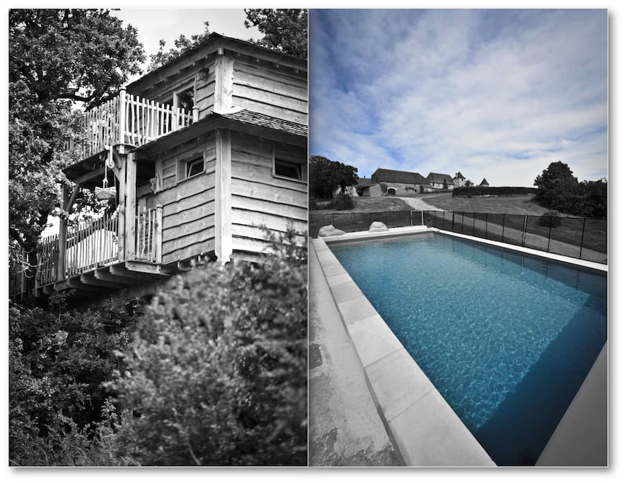 Cabane perchée avec piscine