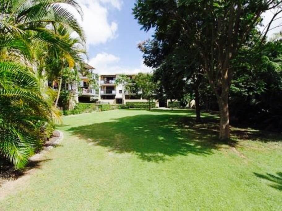 relax on the grass under the big trees