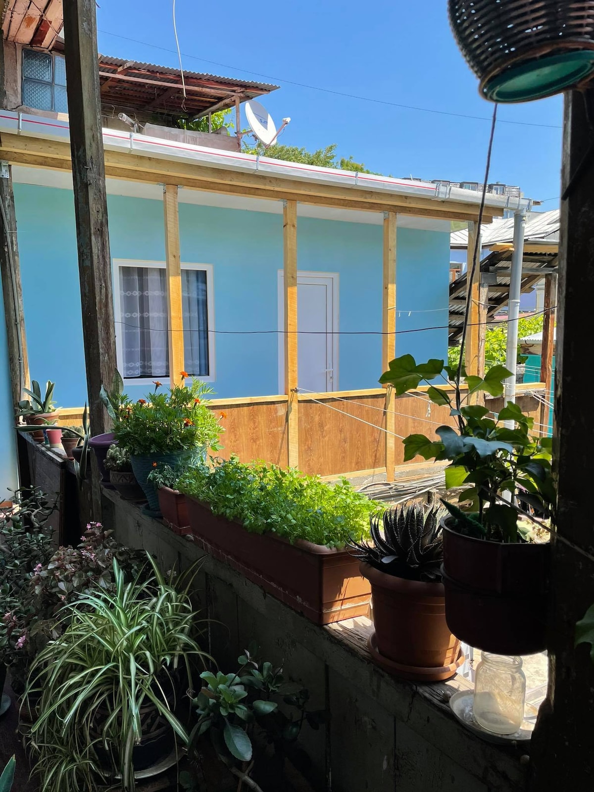 A sunny outdoor area is shown, featuring a light blue building with a white door. Planters filled with various green plants and herbs line the wooden railing, enhancing the lush atmosphere. The clear sky above adds to the brightness of the scene.