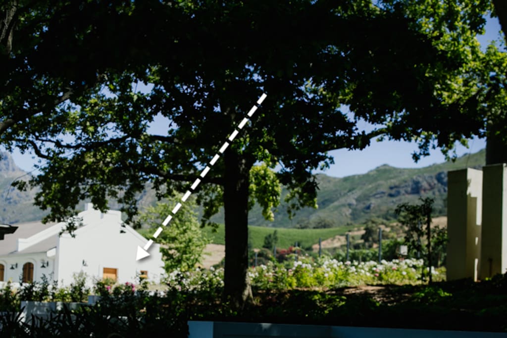 Front Door to the Drakenzicht Studio