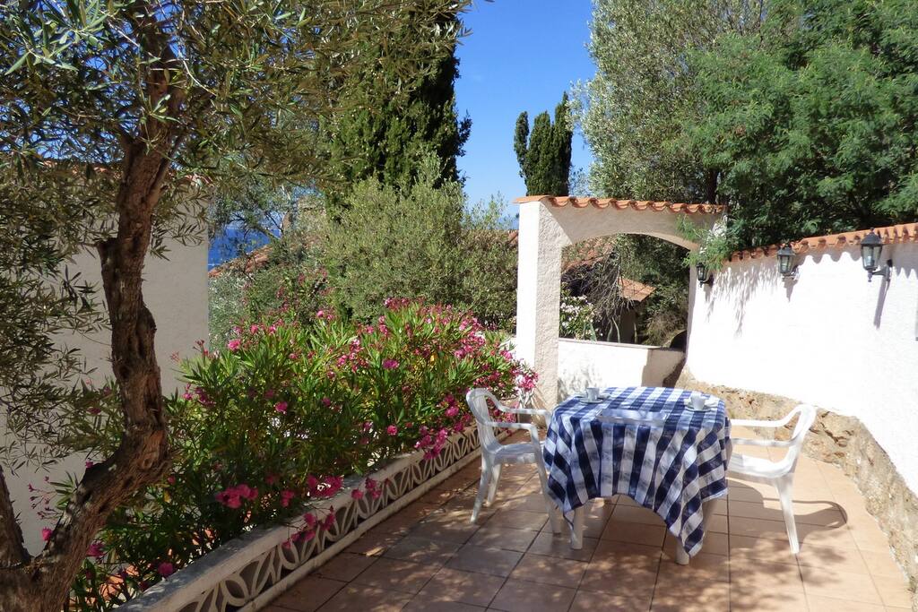 Terrasse arrière - vue d'ensemble