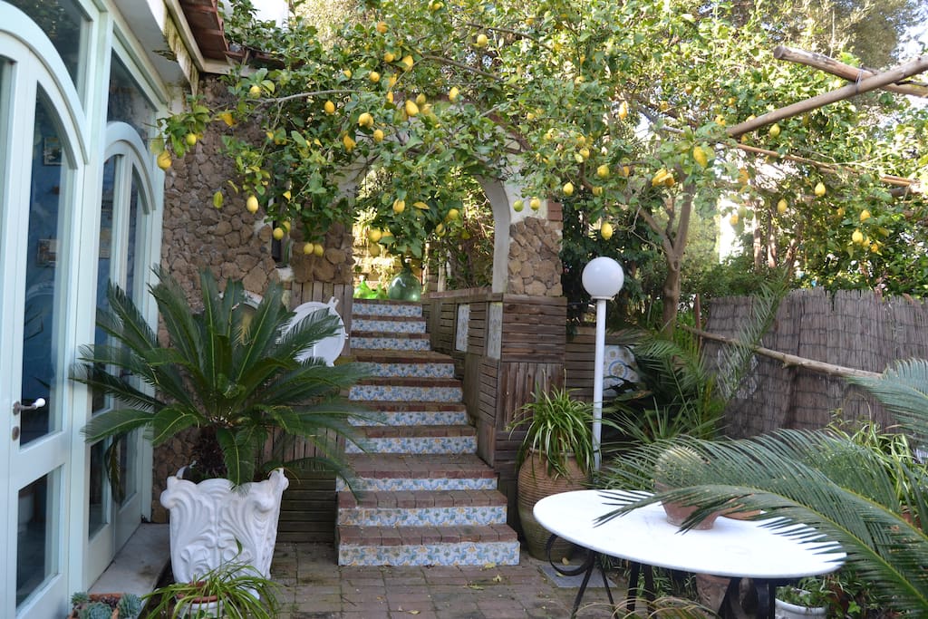 Limoneto