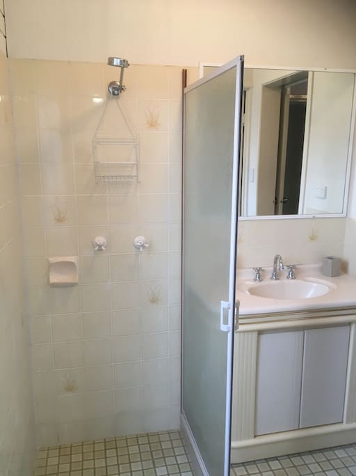 Bathroom. Shower. No bath.