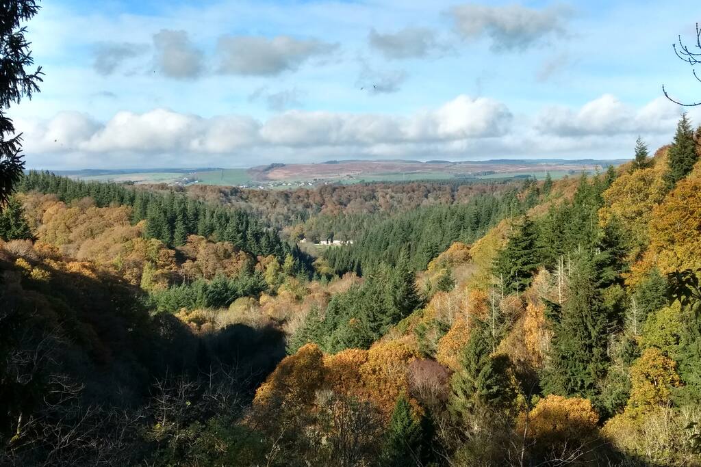 Within walking distance of the stunning Staward Gorge