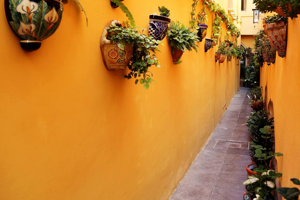 LA CASA ESTA UBICADA EN CORAZÓN DE MANZANA, SE ACCESA POR ESTE HERMOSO PASILLO