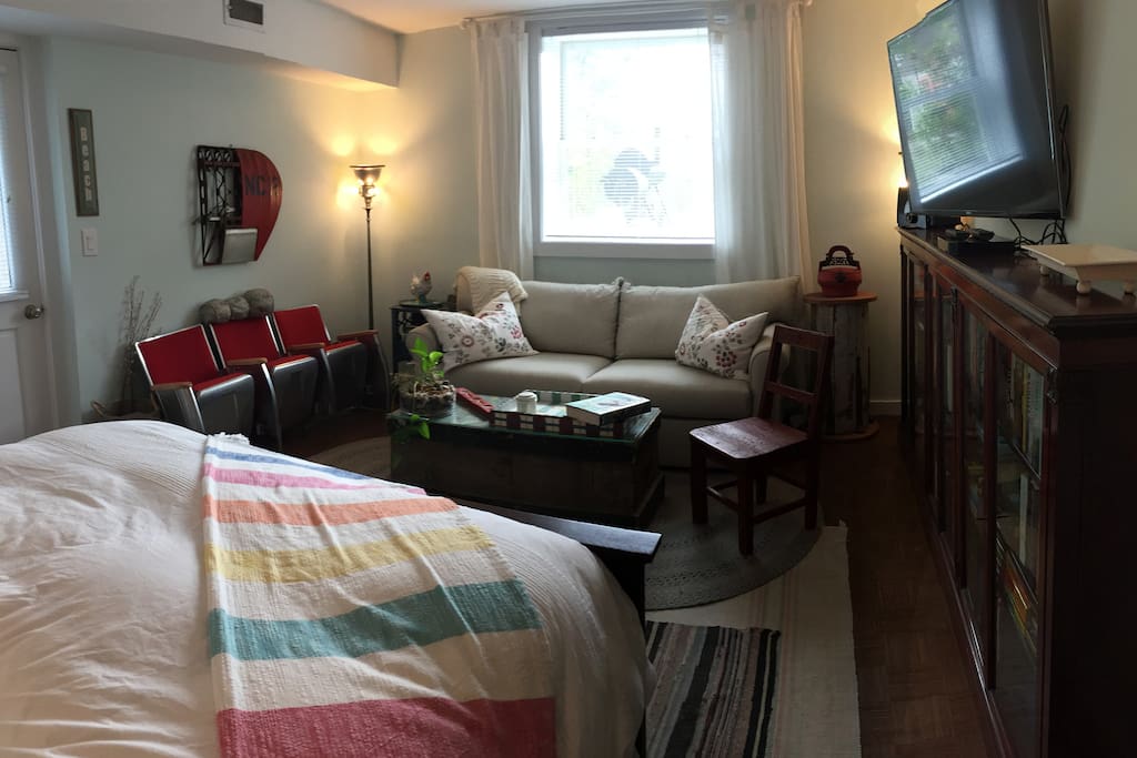 The room includes a pull out queen sofa