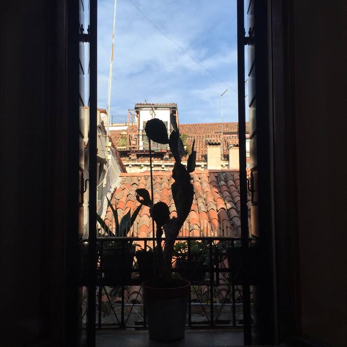 Vista esterna. Particolare