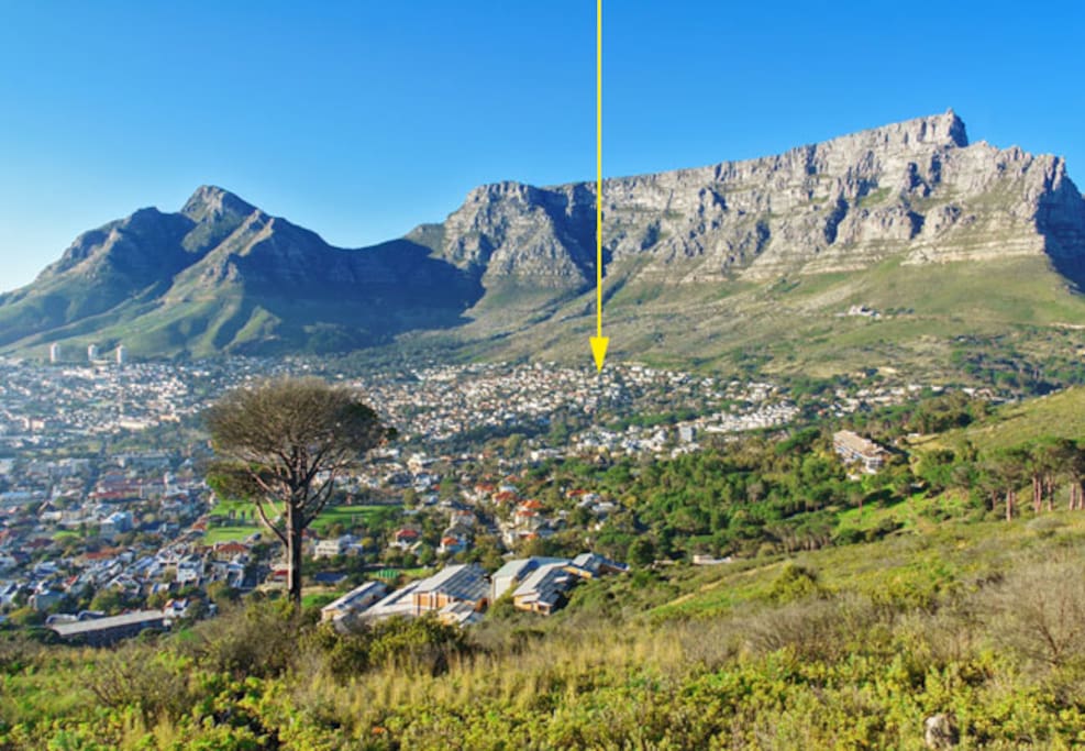 Set high up on the slopes of Table Mountain, 5 minutes into town, 10 minutes to the beach. Oranjezicht is an upmarket suburb in Cape Town's city bowl